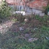 Hormigonar y allanar patio