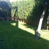 Rediseñar jardin en mallorca