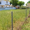 Mantener Jardín