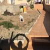 Poner Hormigón Impreso