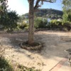 Asfaltar parte trasera chalet unifamiliar