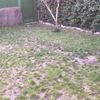 Cesped Artificial