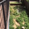 Hacer puesta a punto de jardín