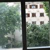 Cambiar cristales en puertas y ventanas