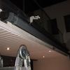 Reparar Toldo