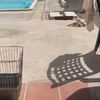 Revestir con Microcemento Vivienda (Parcial)