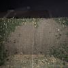 Construir Muro Bloque