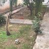 Hacer puesta a punto de jardín
