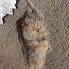 Picar 100 m2 pared (ladrillo visto)