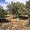 Desbrozar Jardín