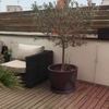 Lijar y Barnizar tarima madera terraza