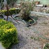Desbrozar Jardín