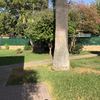 Reforma Vivienda