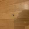 Lijar (Acuchillar) y Barnizar Parquet (Completo)