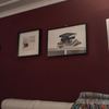 Pintar Interior De Vivienda