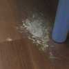 Poner Parquet o Tarima Vivienda (Parcial)