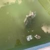 Puesta en Funcionamiento Piscina