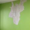 Pintar Interior De Vivienda