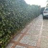 Trabajos varios de albañilería (o reforma)