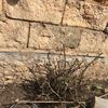 Otros Trabajos De Jardinería