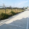 Desbrozar Jardín