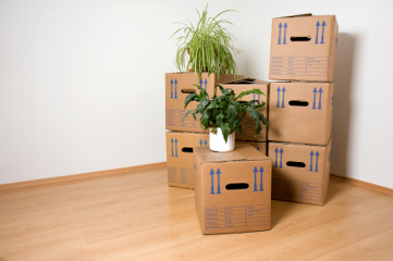 mudanzas-oficinas_437389