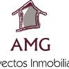 AMG PROYECTOS INMOBILIARIOS S.L.