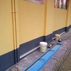 Vertical Isia