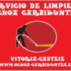 Ochoa Garbikuntza
